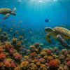 Biodiversité marine : explication facile